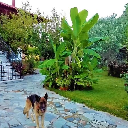 Cottage House,With Big Garden & Lawn Amaliada Екстер'єр фото
