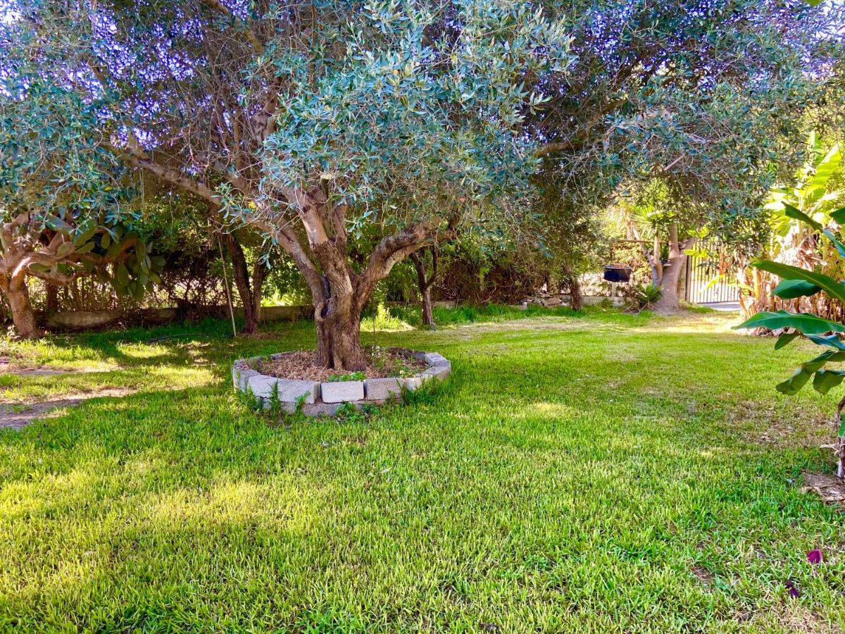 Cottage House,With Big Garden & Lawn Amaliada Екстер'єр фото
