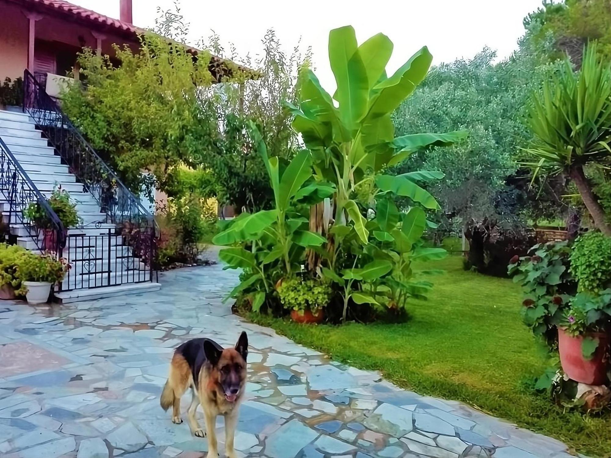 Cottage House,With Big Garden & Lawn Amaliada Екстер'єр фото